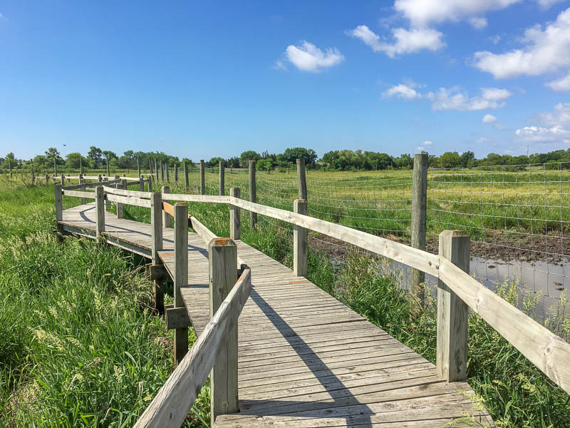 Pioneers Park Nature Trail, Nebraska