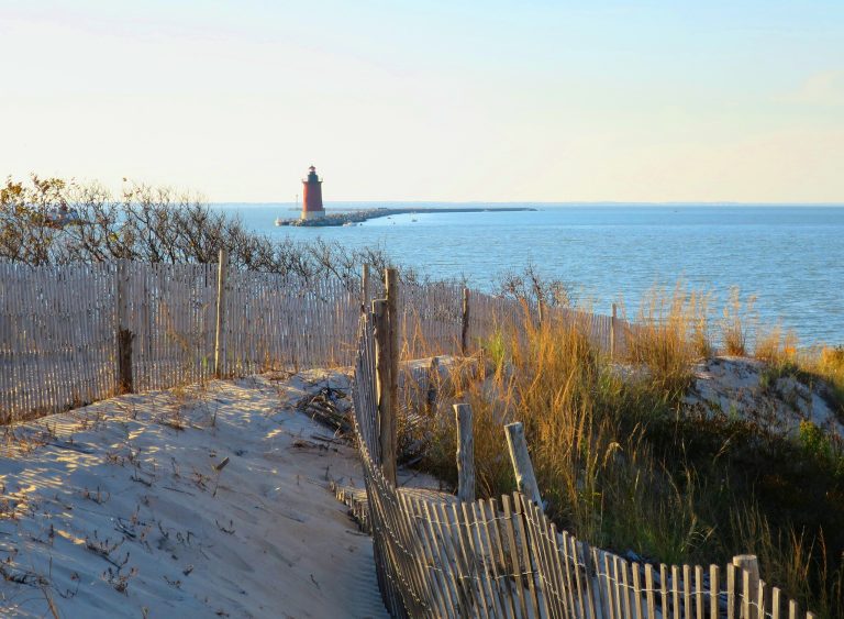 A view of the Pinelands Trail Cape Henlopen.
