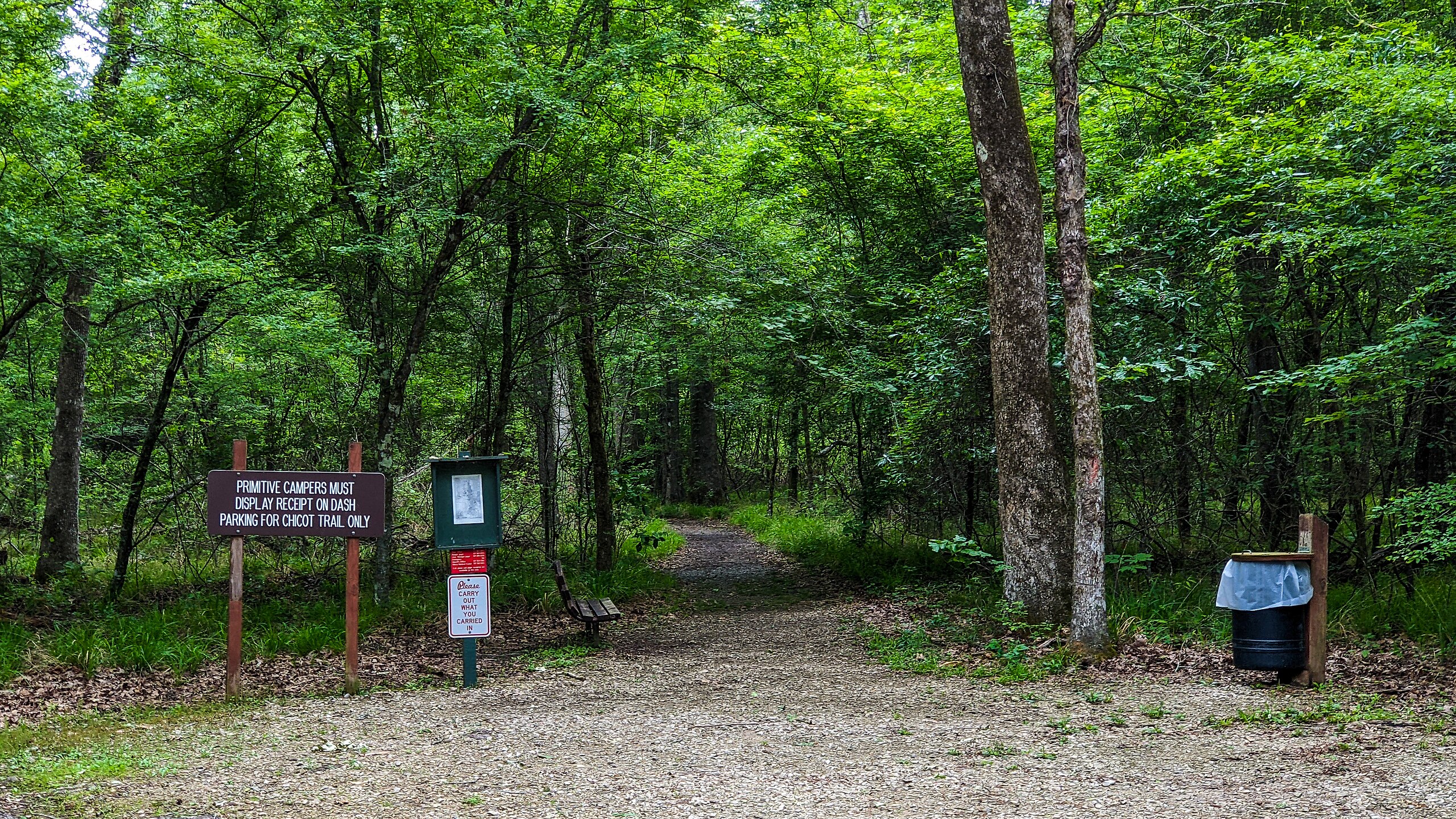 Chicot State Park Loop Trail, Louisiana