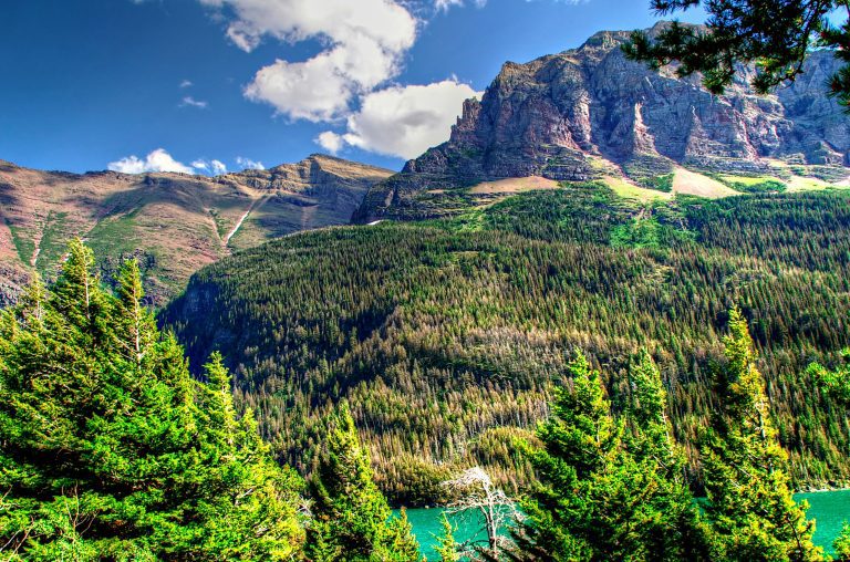 A stunning view of the Glacier National Park in Montana where The Trail of the Cedars is.