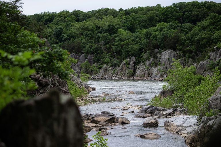 Great Falls Park River surroundings