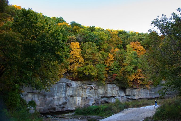The winding path of the Canyon Road Trail, perfect for beginner hikers.
