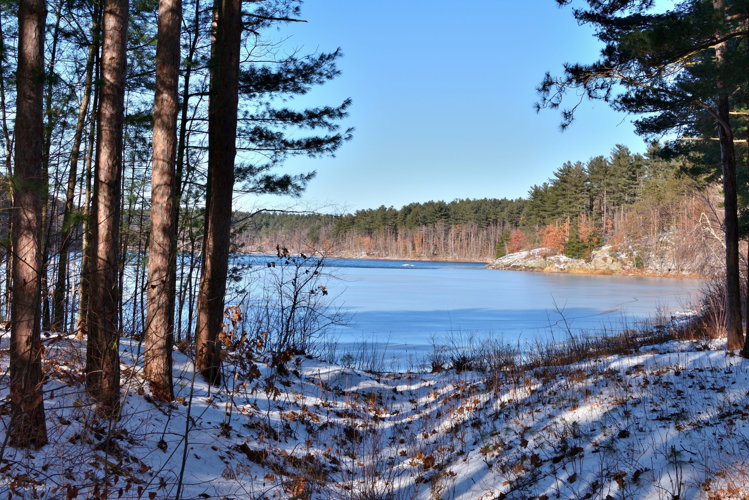 Skyline Trail, Middlesex Fells, Massachusetts