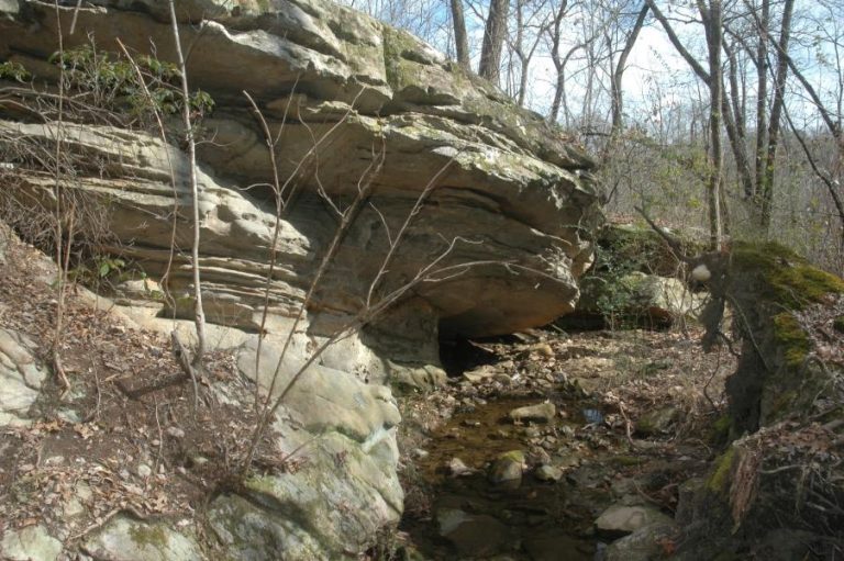 A scenic view within Moss Rock Preserve, featuring large, moss-covered boulders scattered amongst a lush green forest. Sunlight filters through the trees, creating a dappled effect on the rocks and foliage.