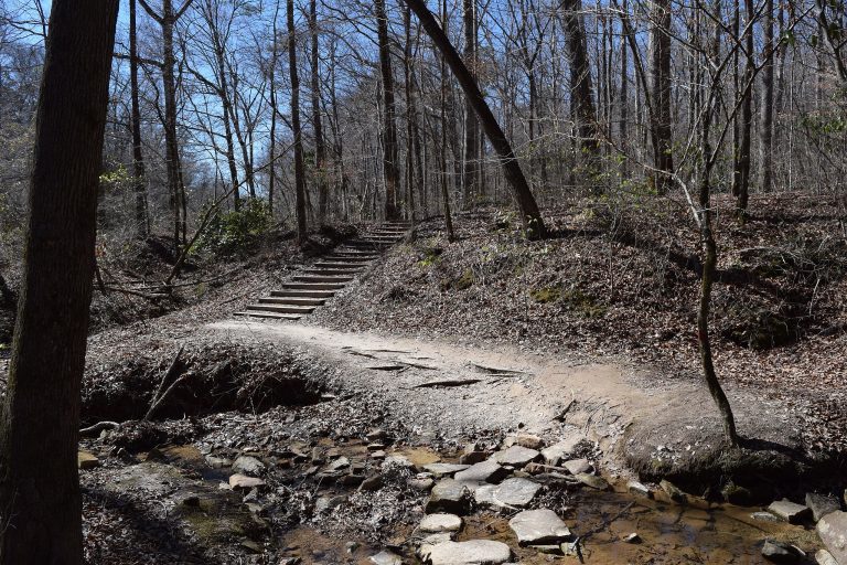 Lush forest canopy shading the Bear Creek Outcropping Trail in Tishomingo State Park