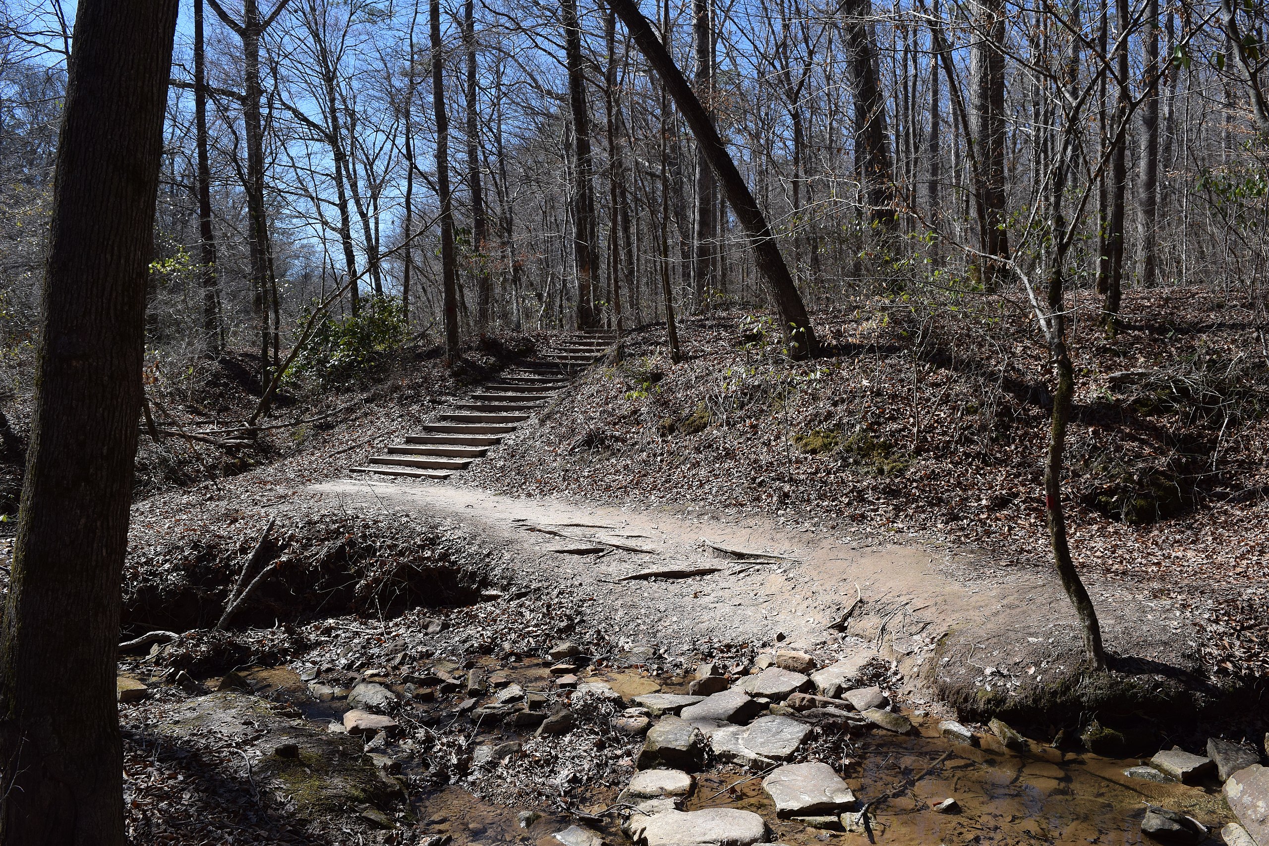Bear Creek Outcropping Trail, Mississippi