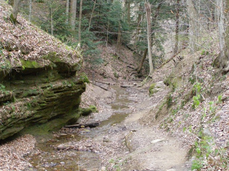 Shaded sandstone gorge and creek crossing on Turkey Run Trail 3.