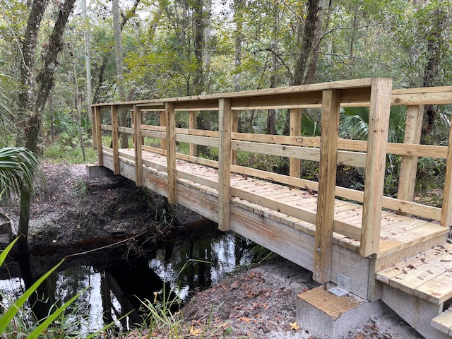 Bridge through the Kolokee Loop Trail Florida forest.