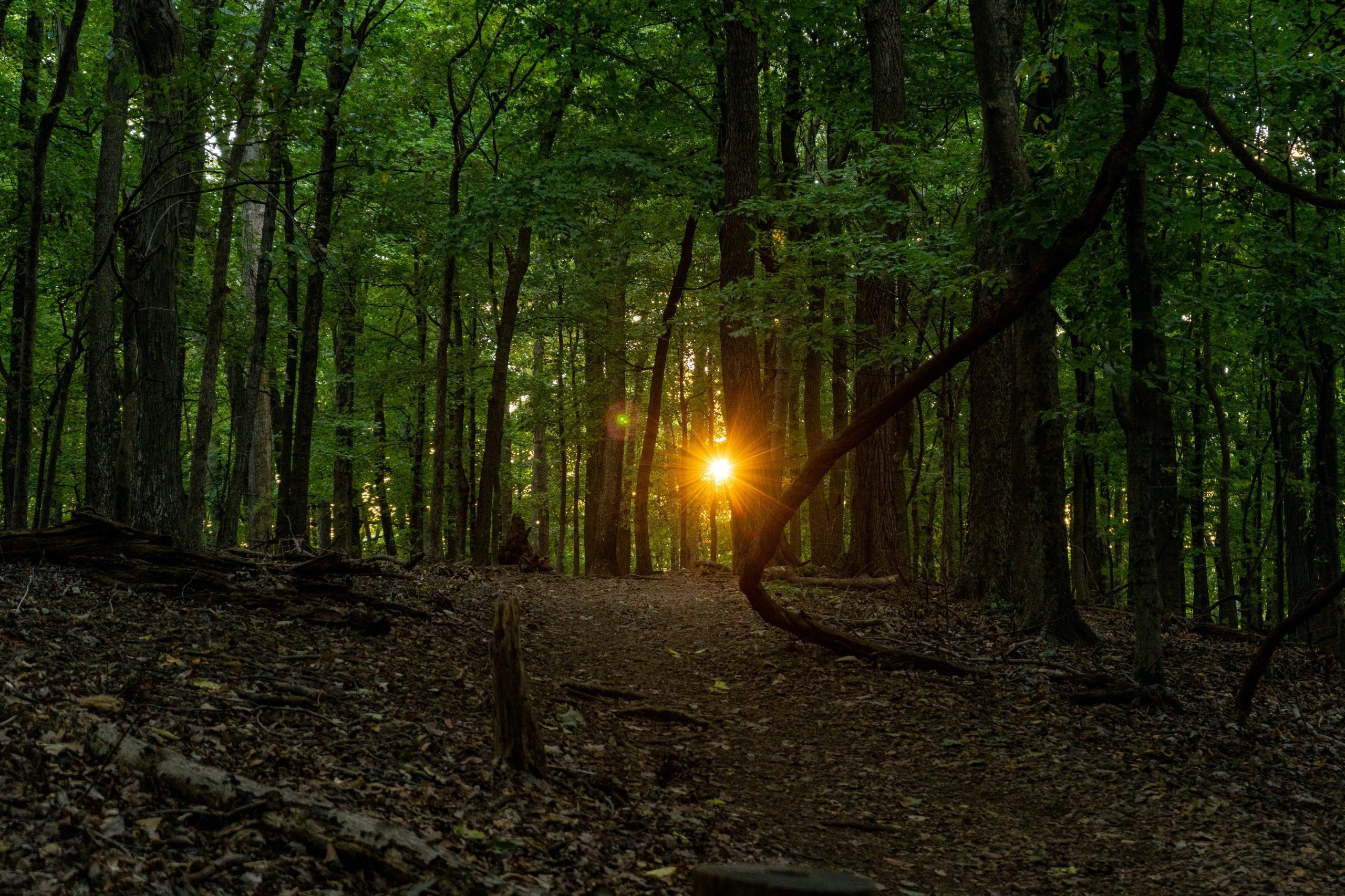 Radnor Lake’s Lake Trail, Tennessee